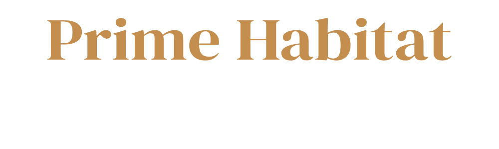 logo_time-living_gold